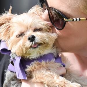 Meet your Posher, Carol